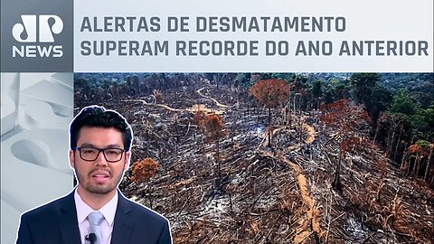 Fevereiro registra recorde de desmatamento na Amazônia; Nelson Kobayashi comenta