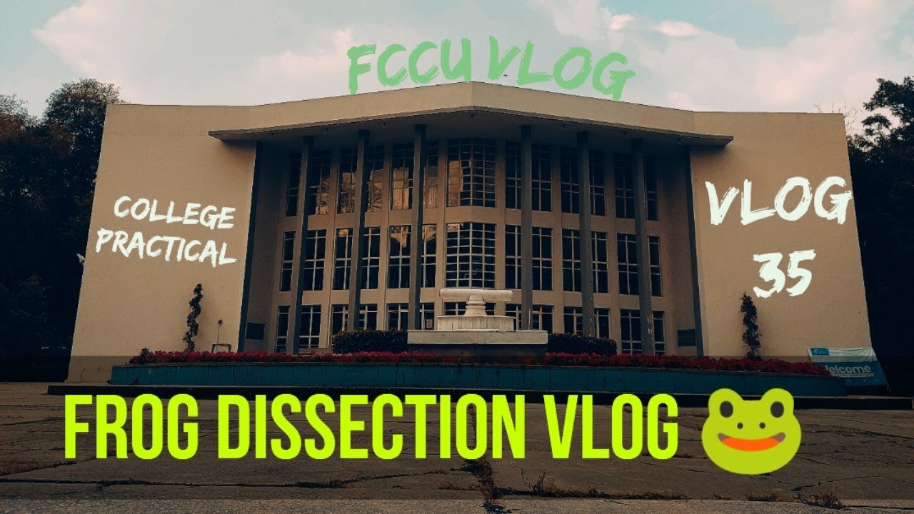 Frog Dissection Fun at FCCU | Vlog 35