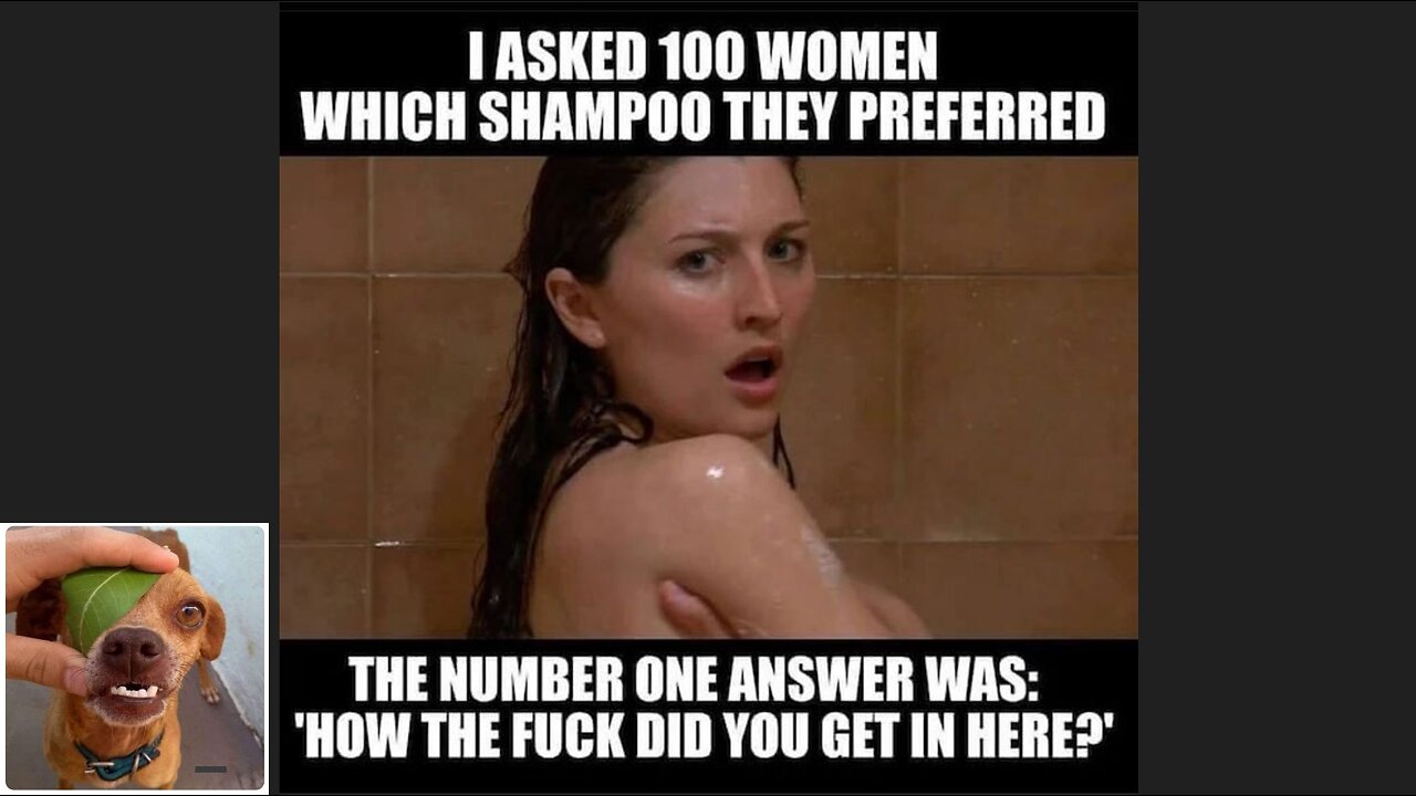 Memes That Will 99.967% Make You Laugh. (e192)