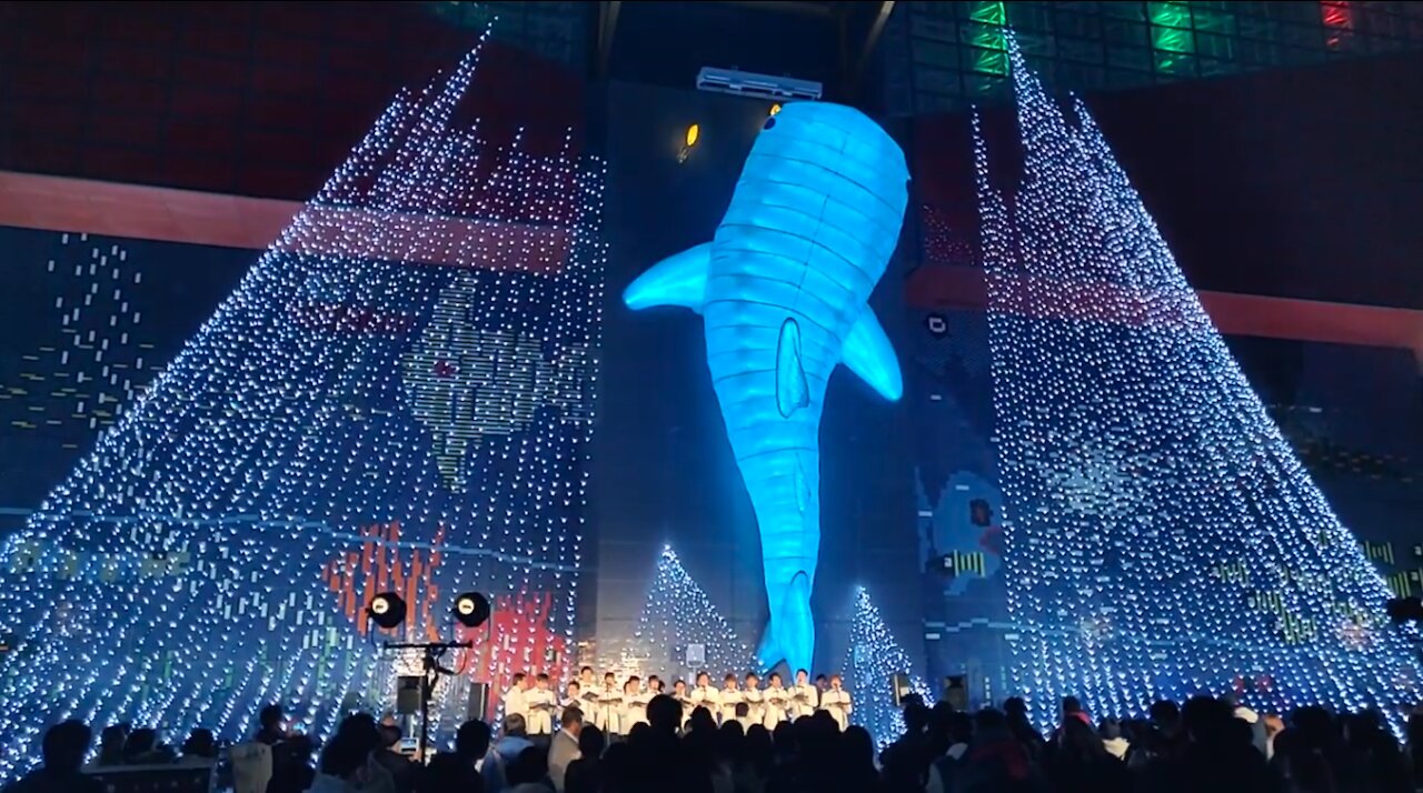 Japanese Men's Choir, O Holy Night, Osaka Aquarium Illumination, Japan, Christmas 日本男声合唱団、オーホーリーナイト、大阪水族館イルミネーション、日本、2019年クリスマス