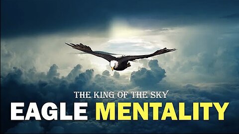 Eagle Mentality | lessons from eagles mentality