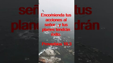 Verso Del Día | Lectura Inspiradora Para Empezar El Día. | 43