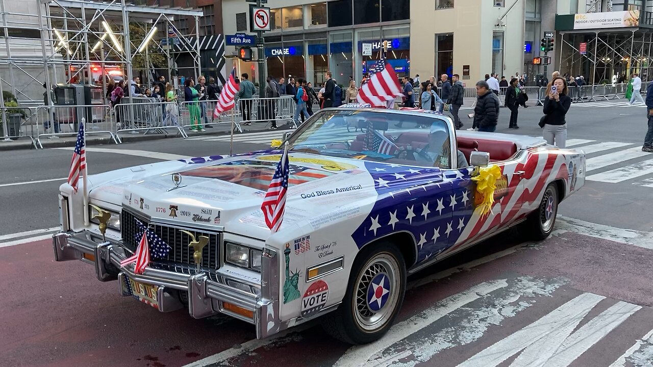 Veterans Day Parade (Manhattan) 3