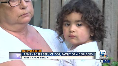 West Palm Beach family loses service dog in fire