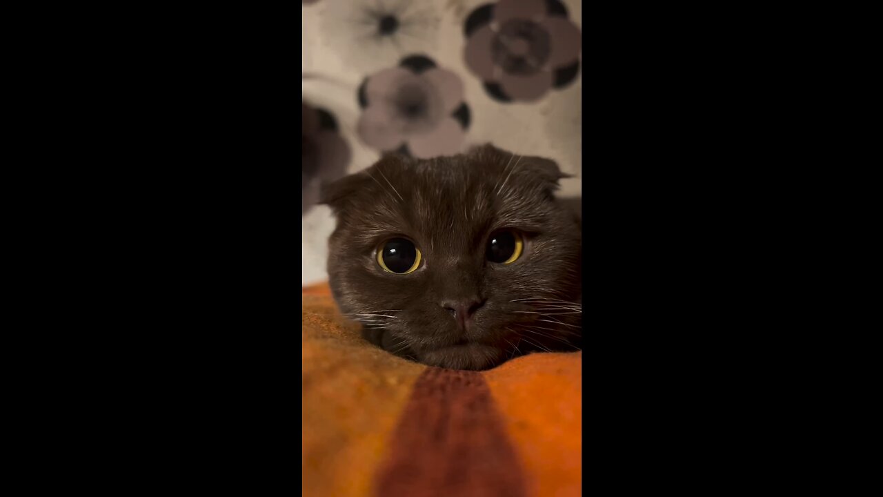Do you wake up and see this look, your actions?🥹