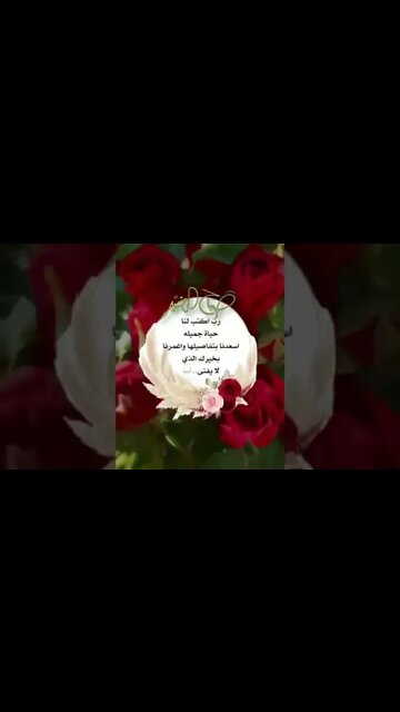 ٥ نوفمبر، ٢٠٢٢