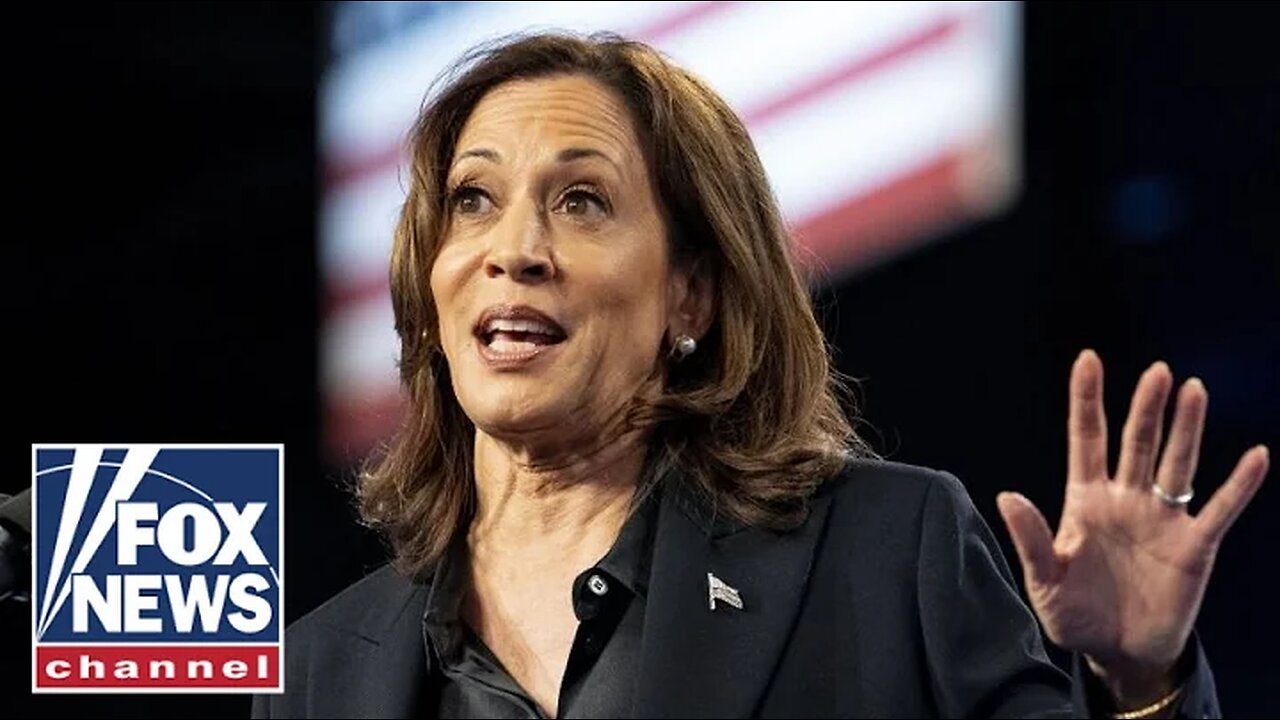 'UNITY' PUSH: Harris campaign grilled over hypocritical pivot in closing message