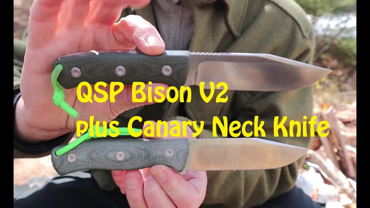 QSP Bison V2 plus Canary Neck Knife