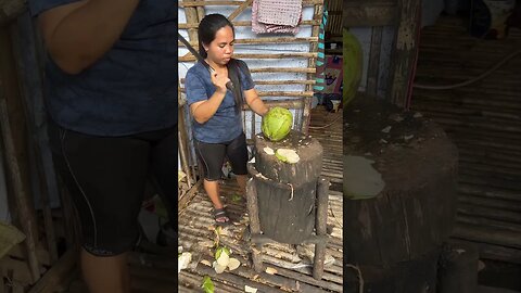 Cutting Coconut (Buko) #shorts #food #travel #philippines #tropical