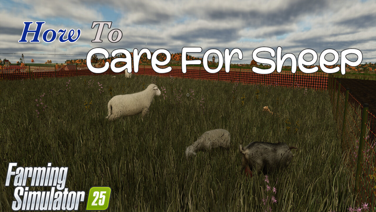 How To | Care For Sheep | Farming Simulator 25