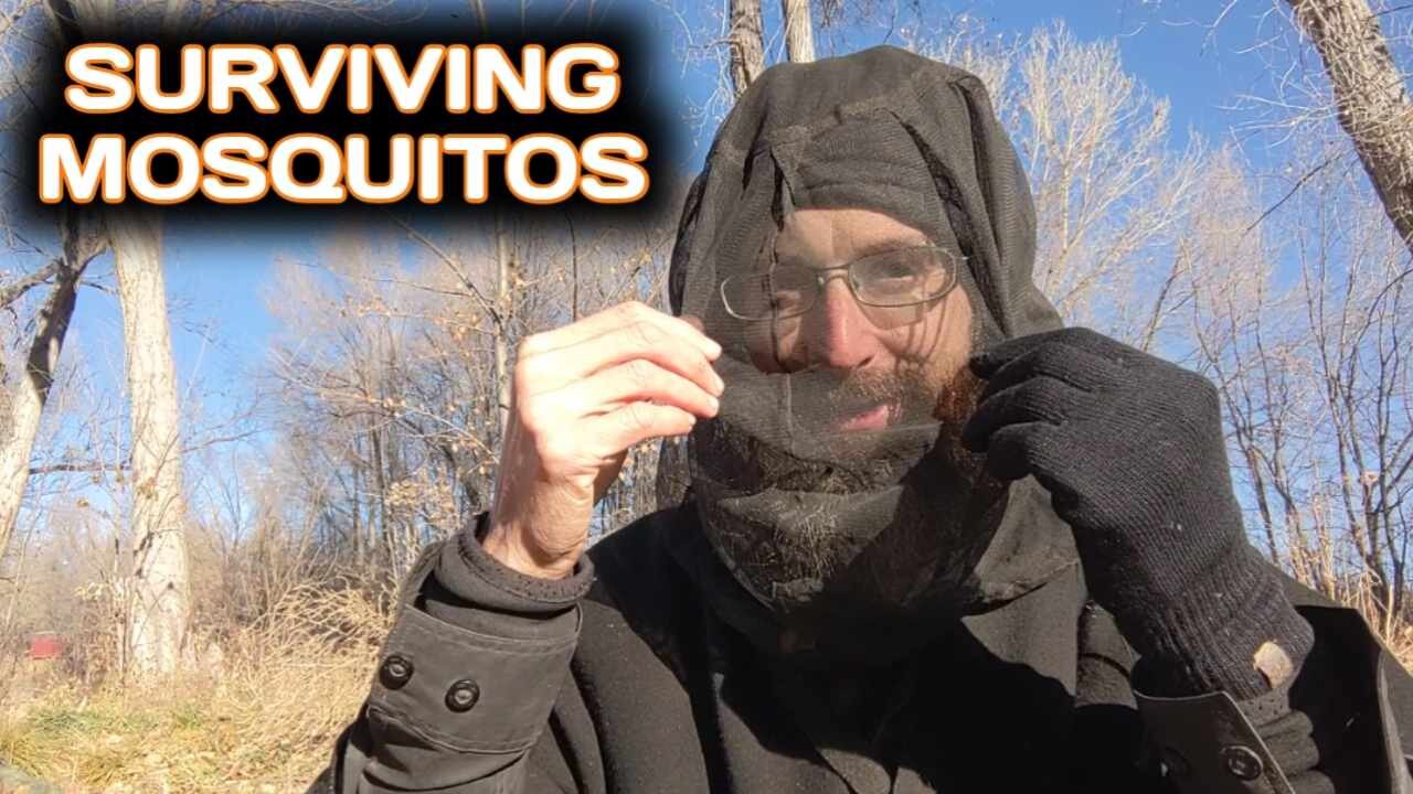 Surviving Mosquitos