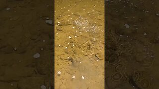 Creek fishing with paddle tails!