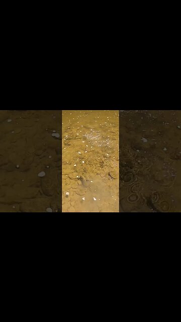 Creek fishing with paddle tails!