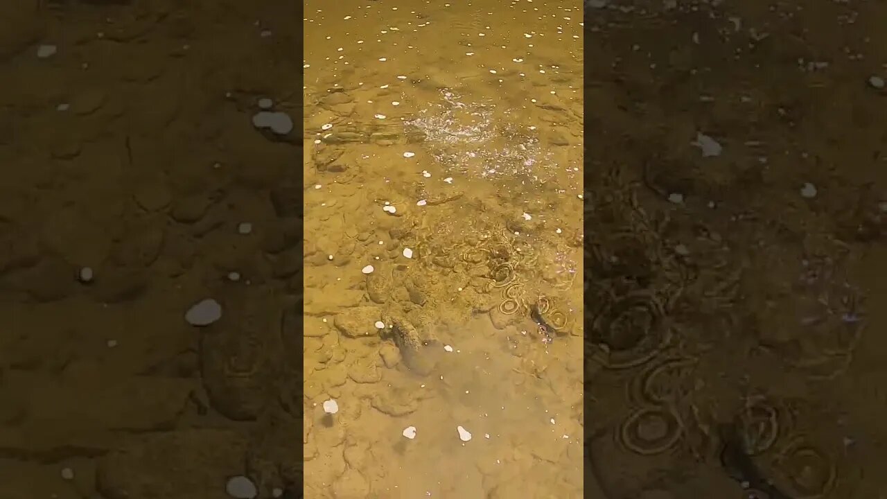 Creek fishing with paddle tails!