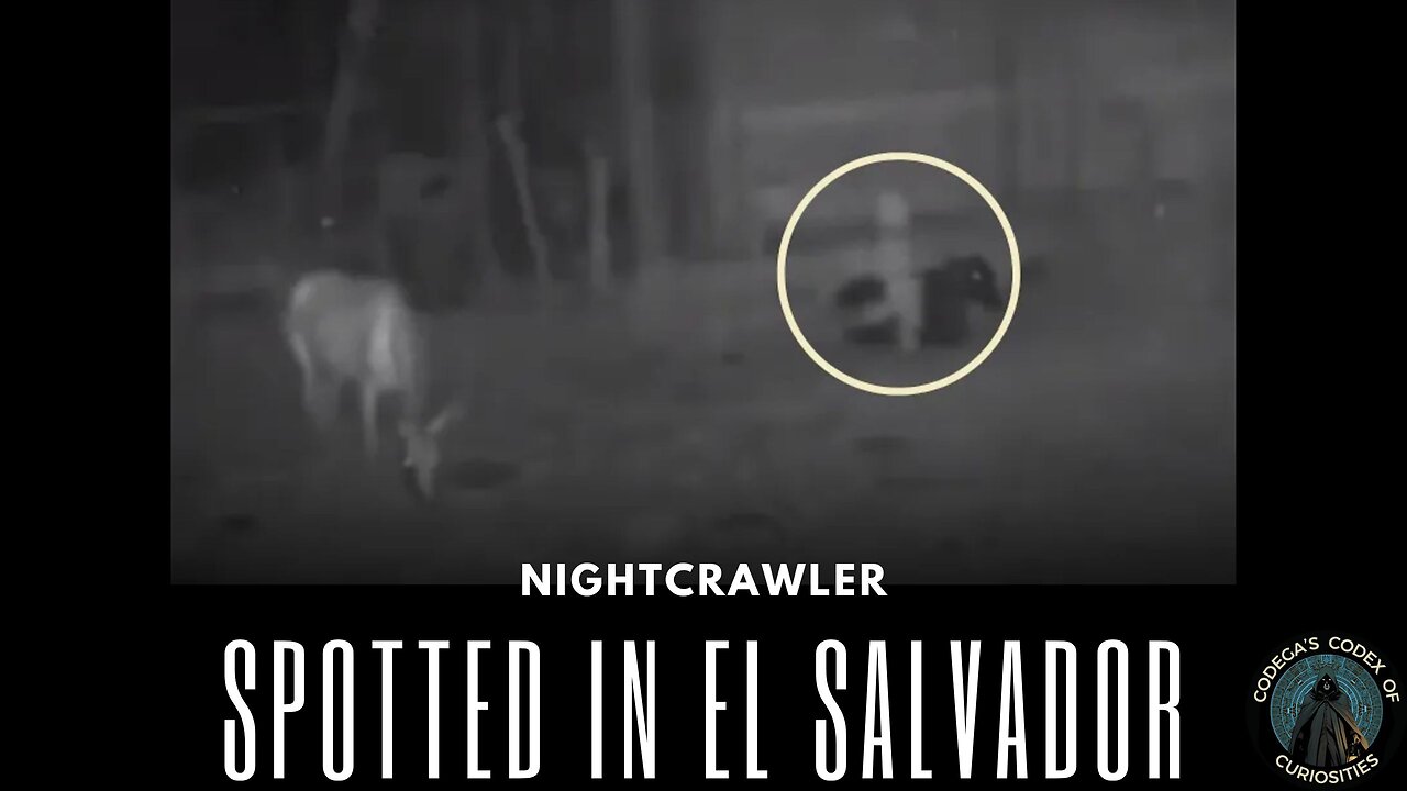 Terrifying NightCrawler Spotted in El Salvadorian