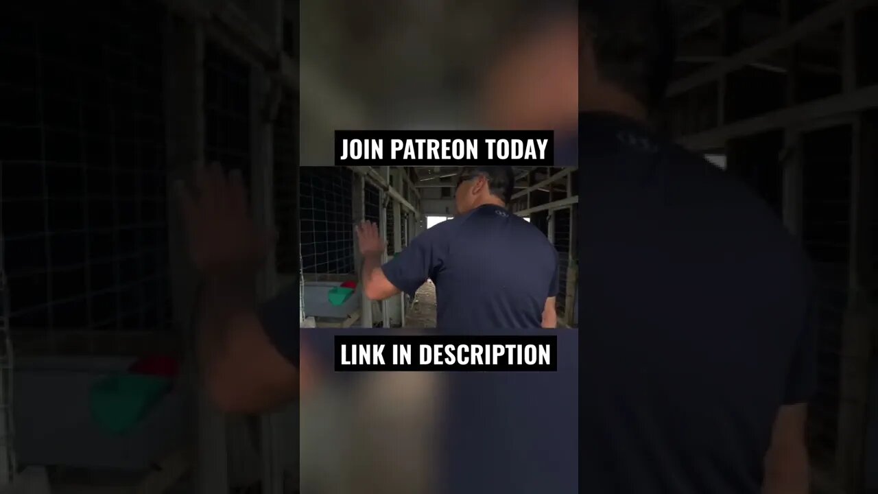 JOIN PATREON TODAY SCHEMATICS COMMUNITY Exclusive content https://www.patreon.com/user?u=67269633