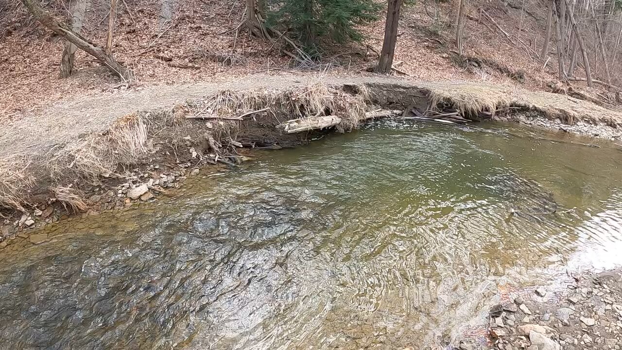 Scenic Steelhead Trout Stream Catch (SHORT)