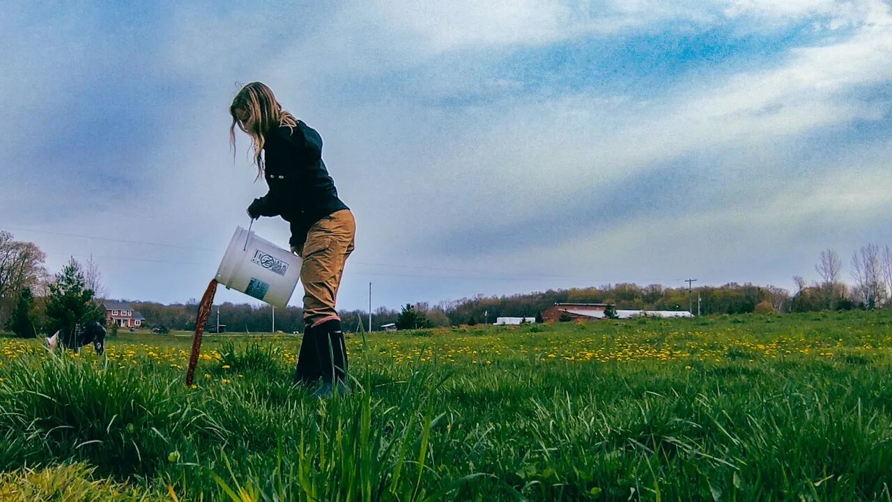 WHY I DUMPED All Our Maple Syrup - Spring Farming Off and Rolling!