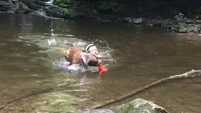 Dog Practices Saving Owner From Drowning And Passes With Flying Colors