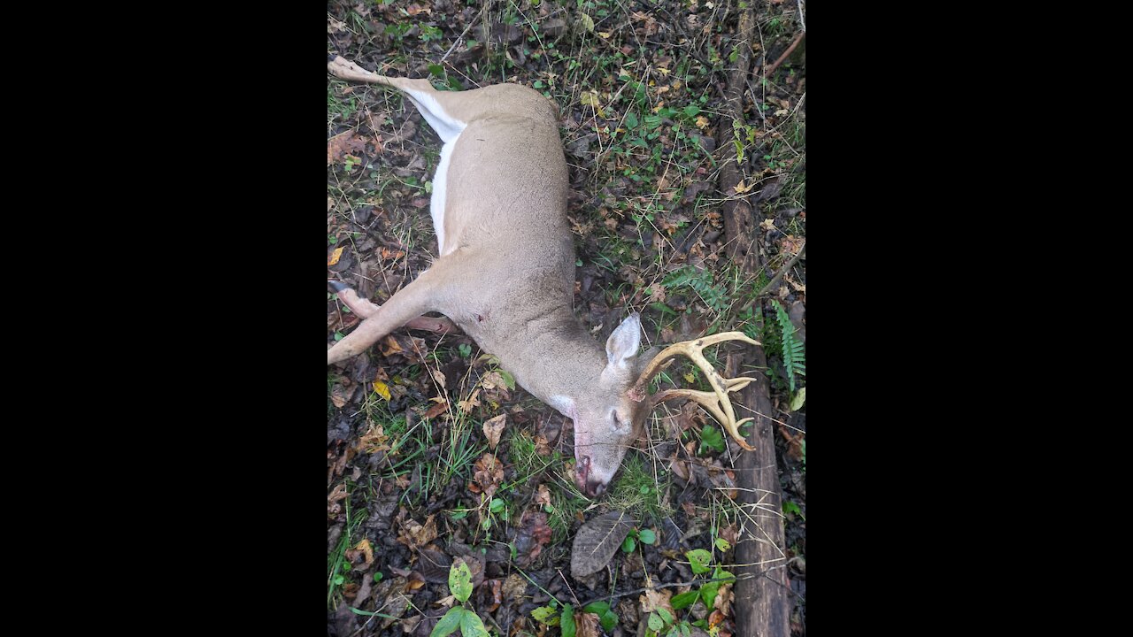 First public land hunt and buck