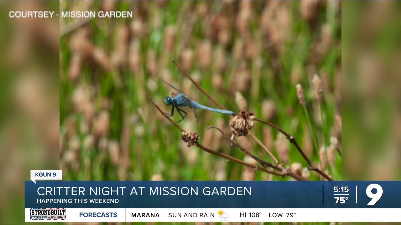 Critter Night at Mission Garden