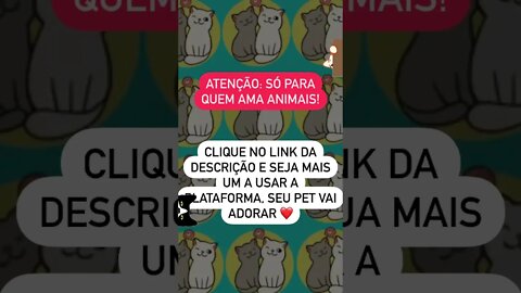 HUMANO ACHOU QUE IA IR NO BANHEIRO SOZINHO 😸#shorts #planetaanimalshorts #eulovegatos