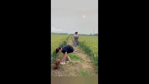 # Funny videos and comedy videos entertainment