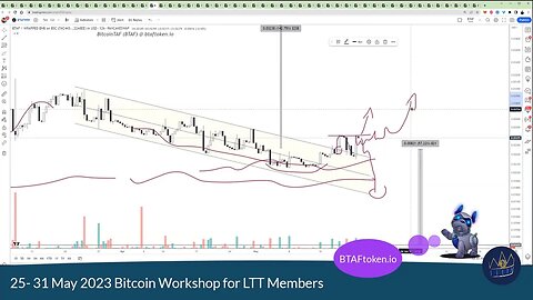 May June 2023 Bitcoin vs BTAFToken