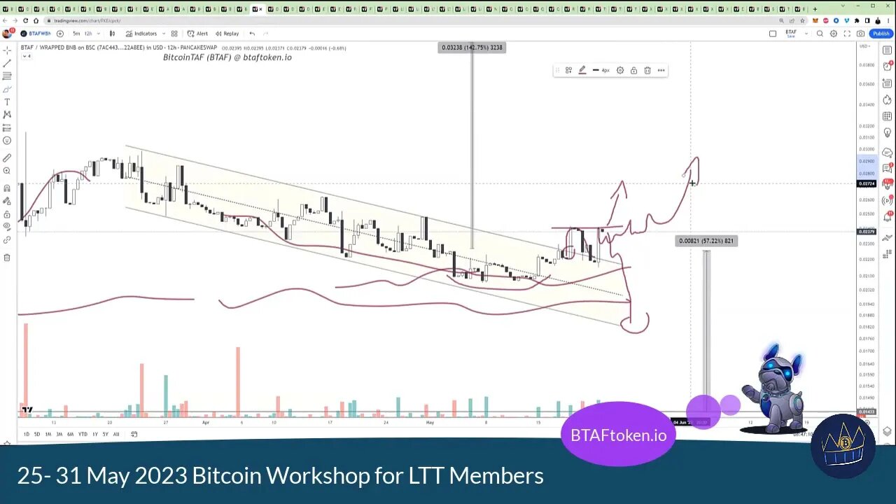 May June 2023 Bitcoin vs BTAFToken