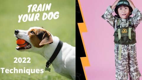 Best Dog training techniques 2022