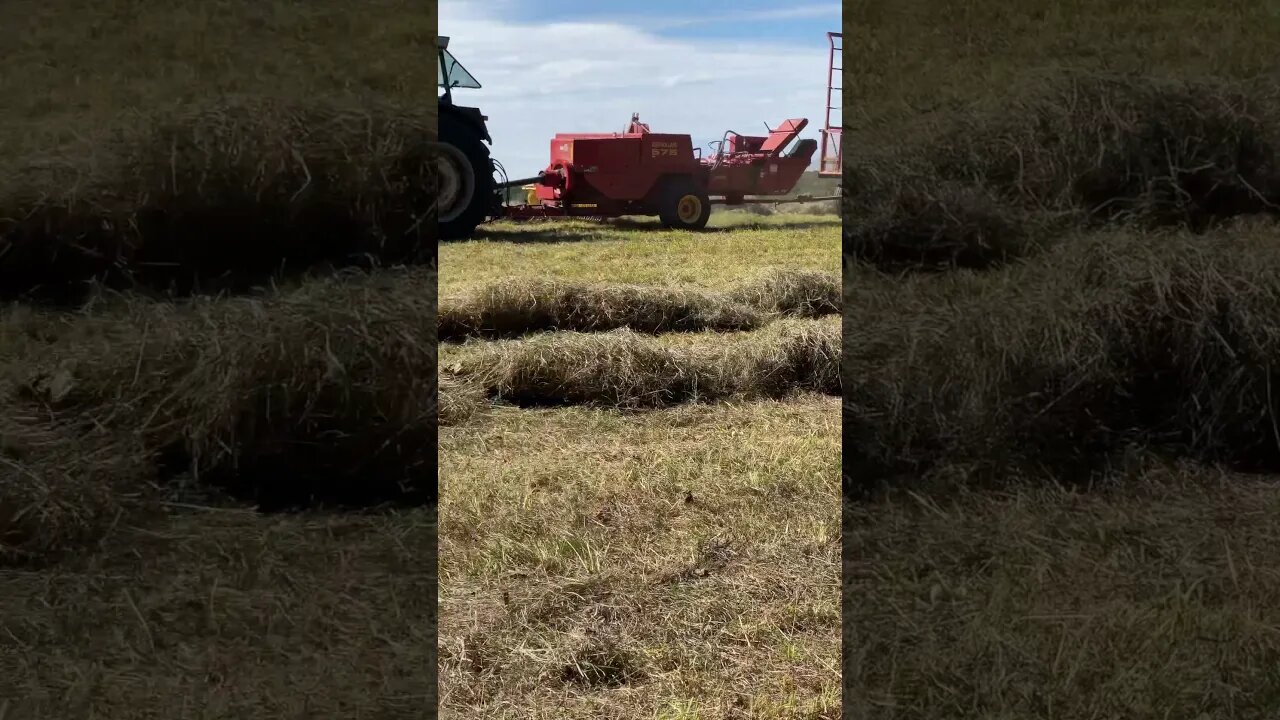 White American 60 and a Deutz-Fahr DX 3.70 Tractor Baling Hay #tractor #hay #farming