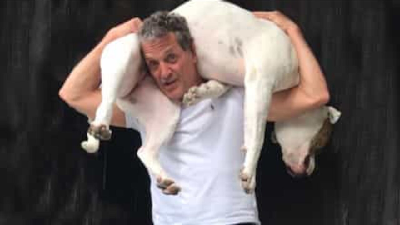 Il fait des squats avec son chien sur le dos !