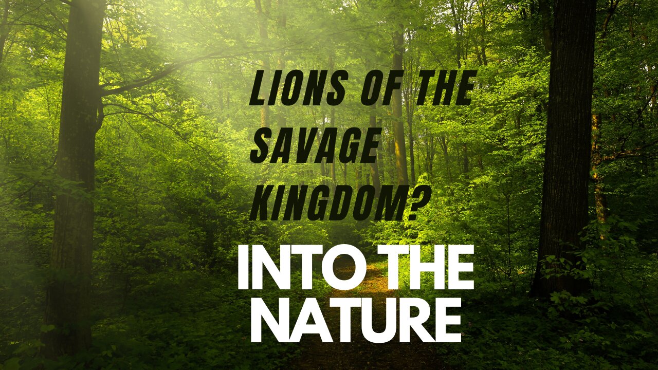 Regal Roar: Lions of the Savage Kingdom?