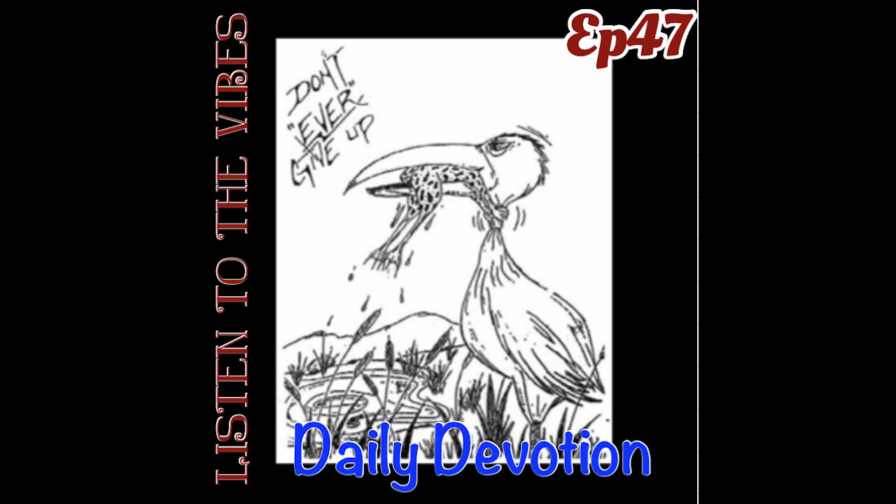 Listen to the Vibes Daily Devotion ep47 The Heidi Game