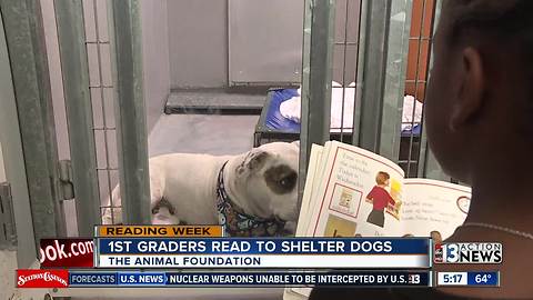 Kids read to dogs