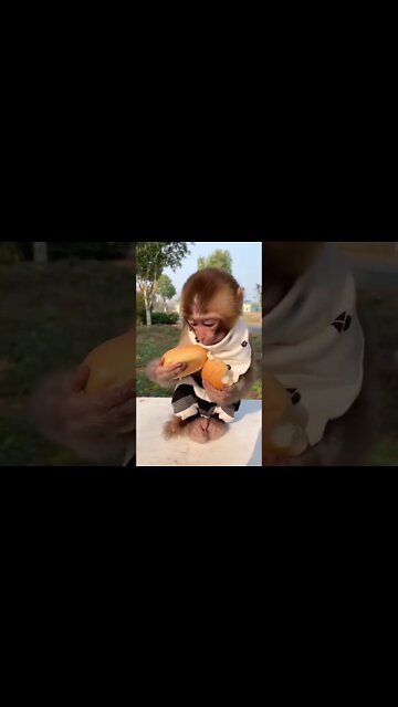 Most Amazing and trending video||relaxing your mind||trendig videos|| #shorts #trending #viral #live