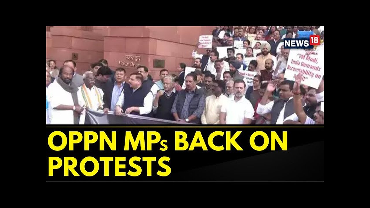 Opposition MPs Including Lok Sabha LoP Rahul Gandhi, Sit On Protests | Winter Session Of Parliament