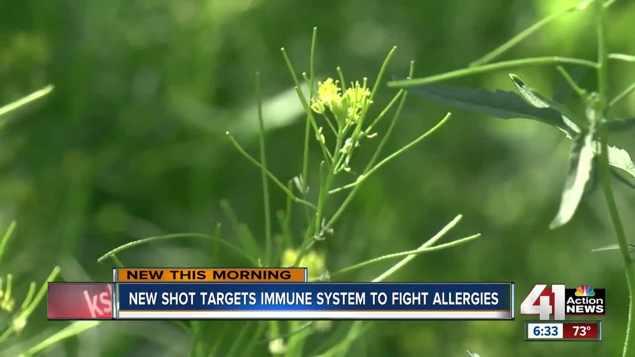 Biologic therapy proves effective treating allergies