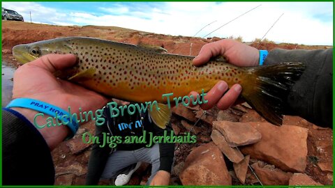 Jerkbait Brown Trout