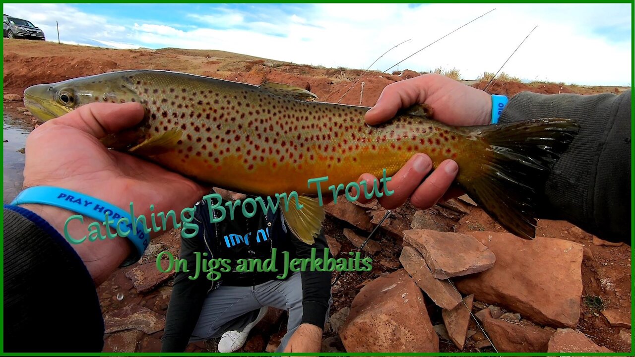 Jerkbait Brown Trout