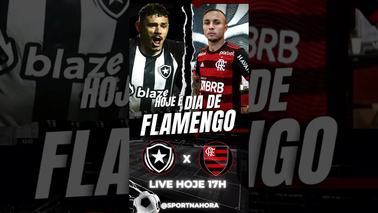 Hoje tem Mengão e Live às 17h #flamengo #cariocão2023