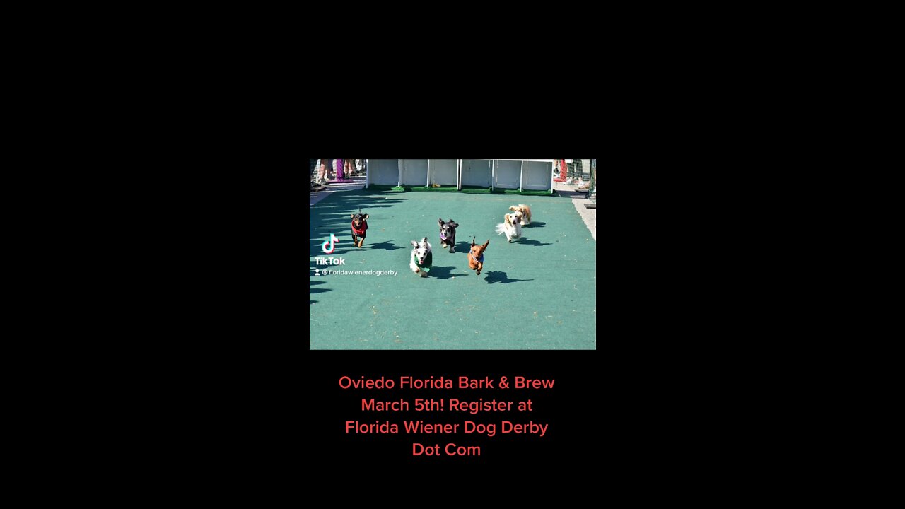 Oviedo bark & Brew 2022