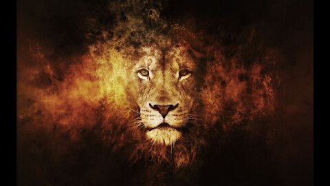 The Lion of Judah is Roaring