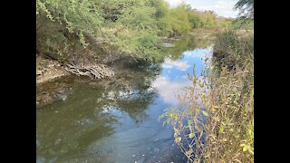 San Antonio Creek Fishing