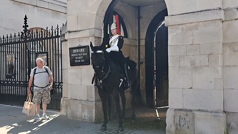 Horse won't let thr King's Guard returns swords #horseguardsparade