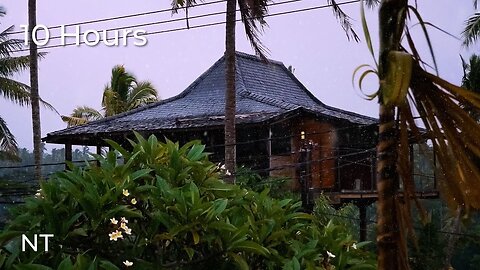 Try Listening for 3 minutes & You Will Sleep Soundly to Tropical Rain Sounds on a Tin Roof in Bali