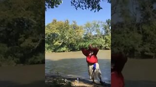 Woman Falls Down Fishing! #MegaFails #Shorts