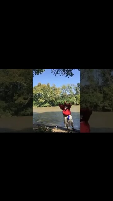 Woman Falls Down Fishing! #MegaFails #Shorts