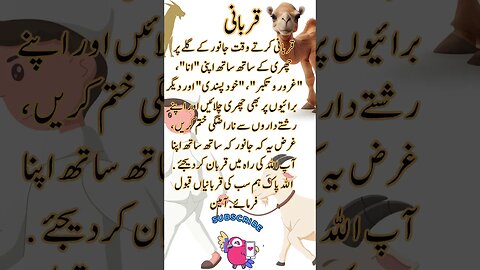Qurbani quotes shorts Urdu viral