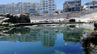 SOUTH AFRICA - Cape Town - Bantry Bay Property Feature (Video) (dPb)